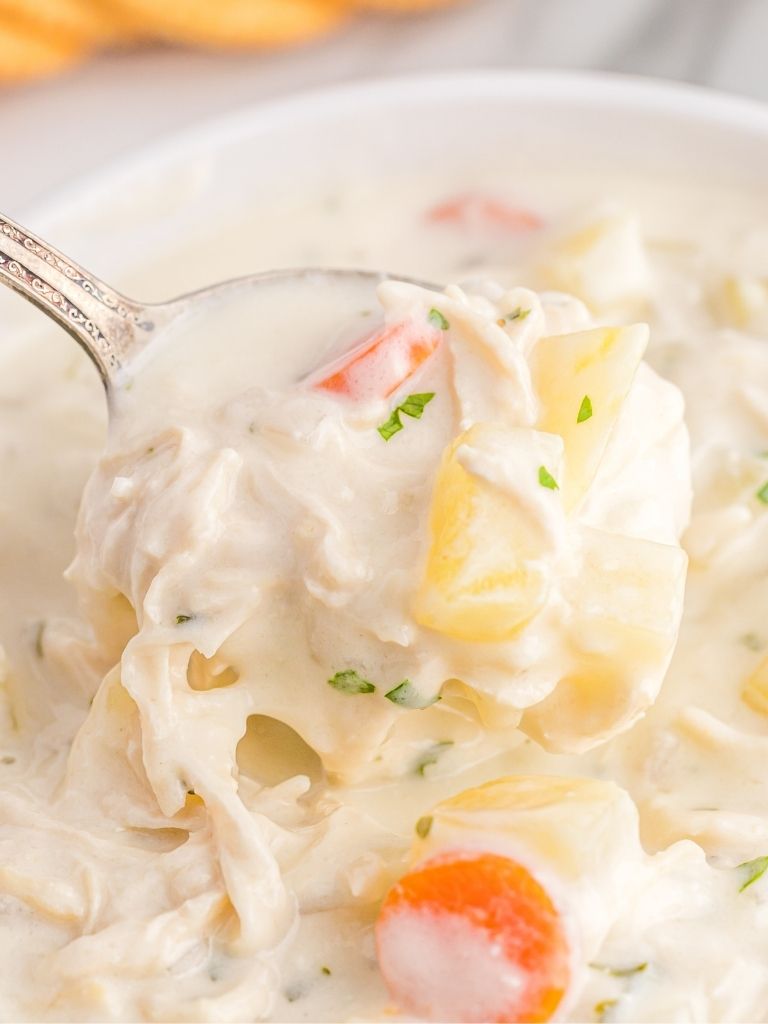 CREAM CHEESE CHICKEN SOUP